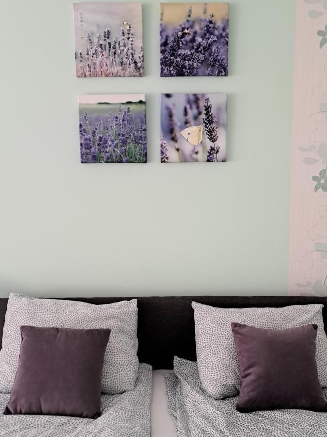Hotel Soul Palić Zewnętrze zdjęcie