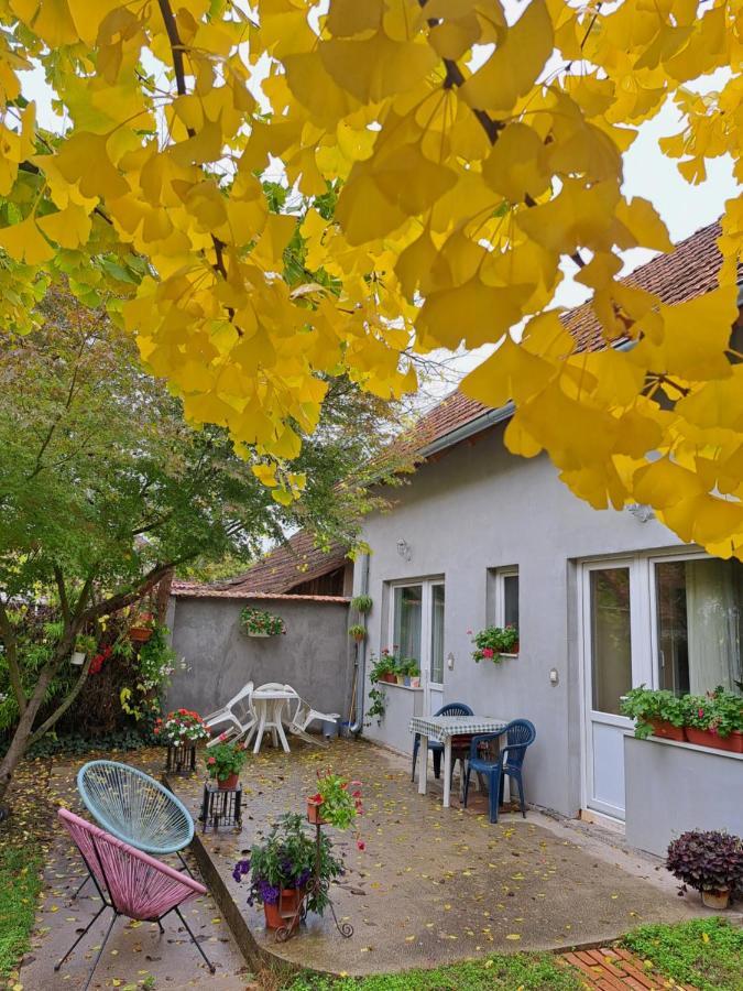 Hotel Soul Palić Zewnętrze zdjęcie